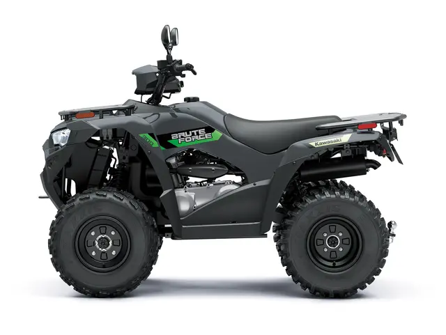 BRUTE FORCE 300 T-CAT — angle 2