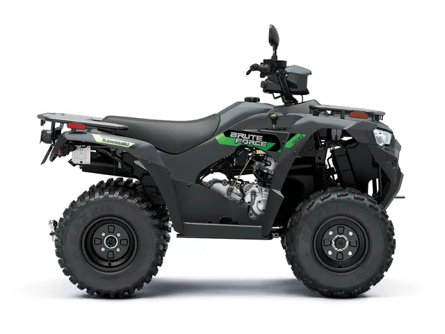 BRUTE FORCE 300 T-CAT — angle 3