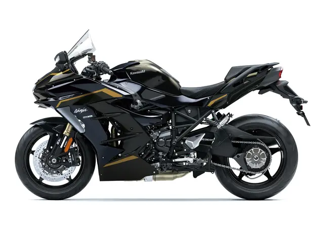 Ninja H2 SX — angle 3