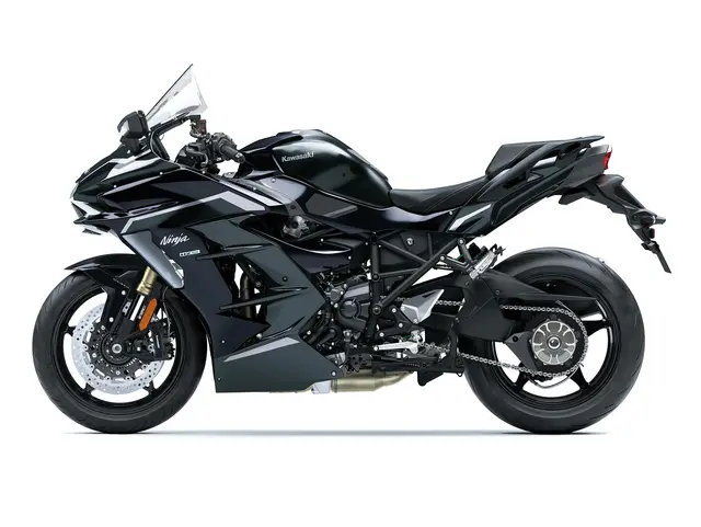 Ninja H2 SX — angle 3