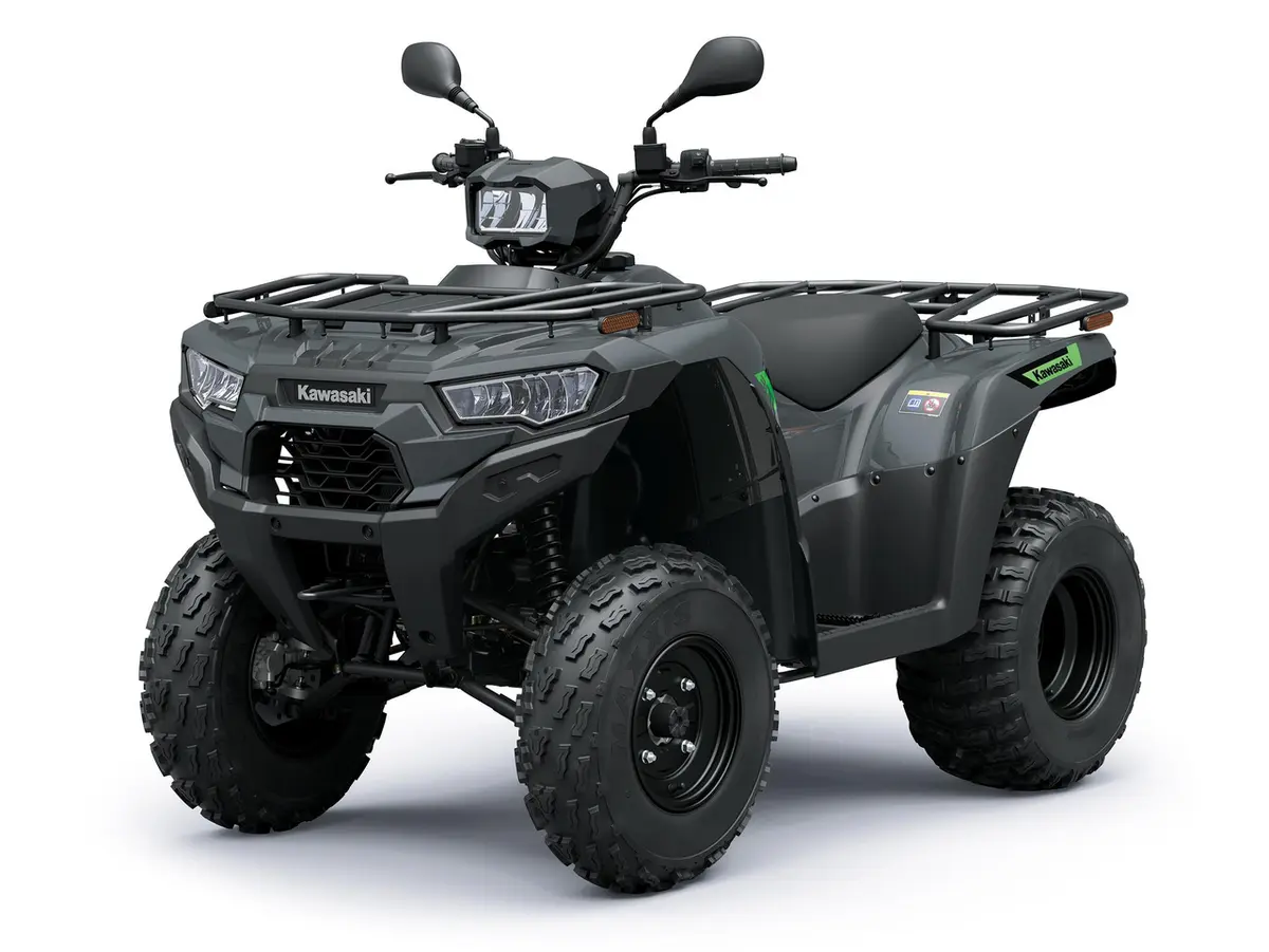 Kawasaki BRUTE FORCE 300 T-CAT