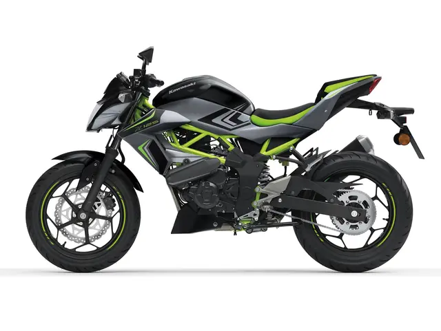 Z125 — angle 3