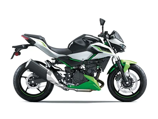 Z500 SE — angle 2